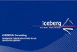 Iceberg Consulting   Linkedin Profile