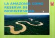 Amazonia 5to. "E"