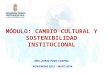 Cambio cultural y sostenibilidad institucional