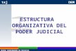 Estructura  Organizativa  TPNA  Lopna