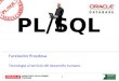 Presentacion PL/SQL