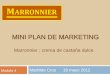 Mini plan de marketing online  crema de castaña