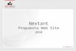 Nextant web site_040111(final)