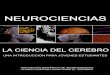 Neuroscience (brain) spanish