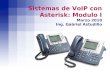 VoIP con Asterisk Marzo 2010