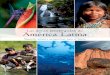 Las áreas protegidas de America Latina baja, un libro preciso por lo demás