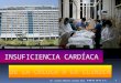 Insuficiencia CardíAca   De La CéLula A La ClíNica