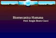 Biomecanica Humana(2)