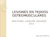 Lesiones en Tejidos Osteomusculares
