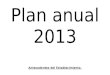 Plan Anual 2013