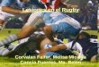 Lesiones en el rugby  corvalan- concia