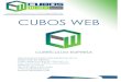 Currículum Empresarial Cubos Web