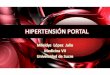 Hipertension Portal Final