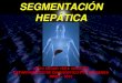 Clase 12.1 - Segmentacion Hepatica