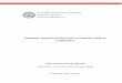 Tesis - Equipo y procedimiento carreteras.pdf