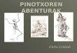 PINOTXOREN ABENTURAK[1]