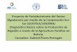 Diagnóstico Básico sobre la Producción de Algodón a través de la Agricultura Familiar en Bolivia
