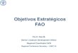 El nuevo marco estratégico de la FAO – Objetivos Estratégicos