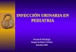 Infeccion Urinaria  2009