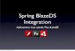 [SCD2010] Spring Flex BlazeDS Integration