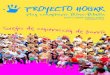 PROYECTO HOGAR: Plan Comunitario de Palma-Palmilla