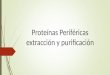 Proteínas Periféricas extracción y purificación