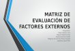 MATRIZ DE EVALUACIÓN DE FACTORES EXTERNOS