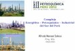 7. Complejo energético petroquímico - Quali Team.pdf