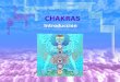 Chakras Introduccion