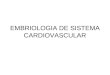 Embriologia de sistema cardiovascular