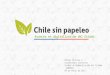 Avances en la Digitalización de Trámites Públicos - Premios Chile sin Papeleo