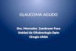 Glaucoma agudo 2013