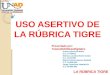 Buen uso de_la_rubrica_tigre._tutorial_g15ideasdigitales (1)