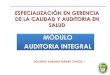 Auditoria Integral 2013 -1