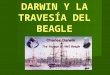 Darwin y la travesía del beagle