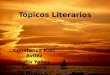 Topicos literarios 2