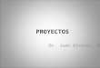 Proyectos Juan Alvarez