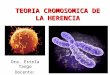 Clase 2 teoria cromosomica de la herencia