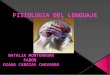 Fisiologia del lenguaje