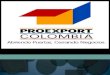 Exposicion proexport colombia 2010 loys