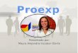 Proexport y PTP (Programa de Transformacion Productiva)