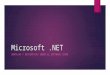 Presentacion tecnica microsoft.net