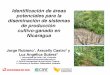 Agroforestry Nicaragua