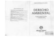 Derecho Ambiental - Fundamentacion y Normativa - Jorge Bustamante Alsina