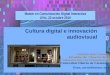 Cultura digital e innovación audiovisual