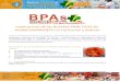 Implicancia de las BPAs En farmacias - Dennis Senosain Timana
