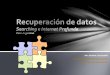 Searching Argentina: Recuperación Web de Datos Oficiales