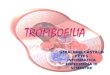 Trombofilia 2