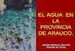 Agua y Comunidades Mapuches: Cosmovisión y Propuestas. Adolfo Millabur, alcalde de Tirúa