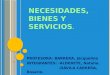 Necesidades, bienes y servicios(Economia)